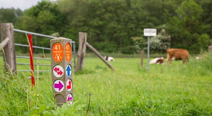 2017 Wandelnetwerk paaltje