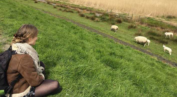 2018 uitbreiding wnw westfriesland